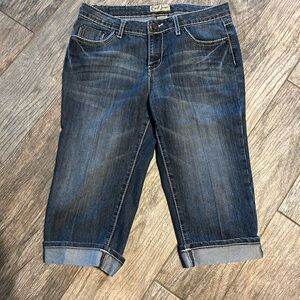 Earl Jeans Blue Ankle Cropped Denim